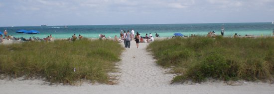 Beach Near Coffee